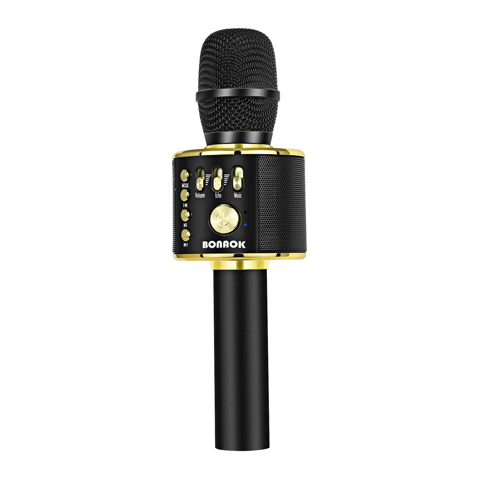 6 Best Portable KTV Microphone in 2024 Hollyland